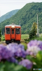 只見線薮神駅に進入！
