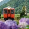 只見線薮神駅に進入！