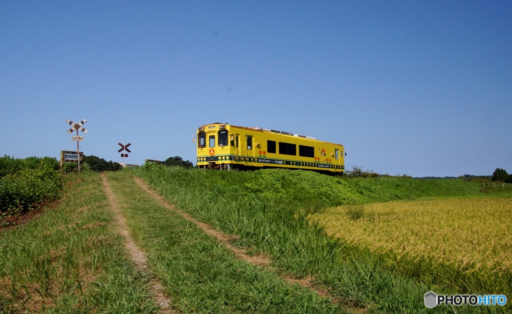いすみ鉄道の何時もの踏切！