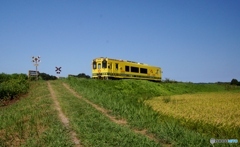 いすみ鉄道の何時もの踏切！