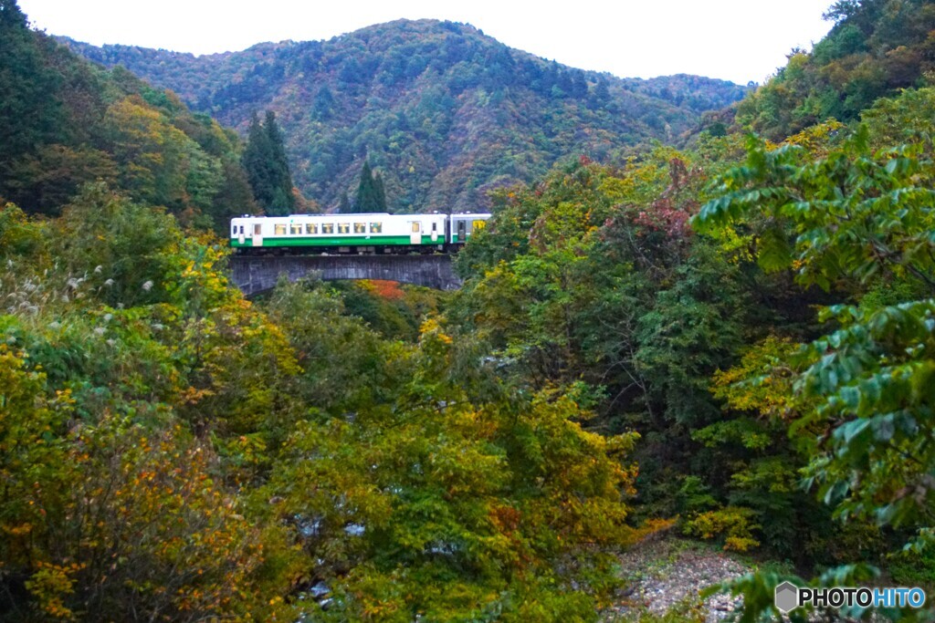 薄っすらの紅葉！