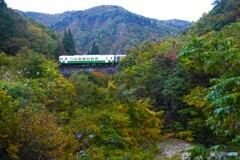 薄っすらの紅葉！