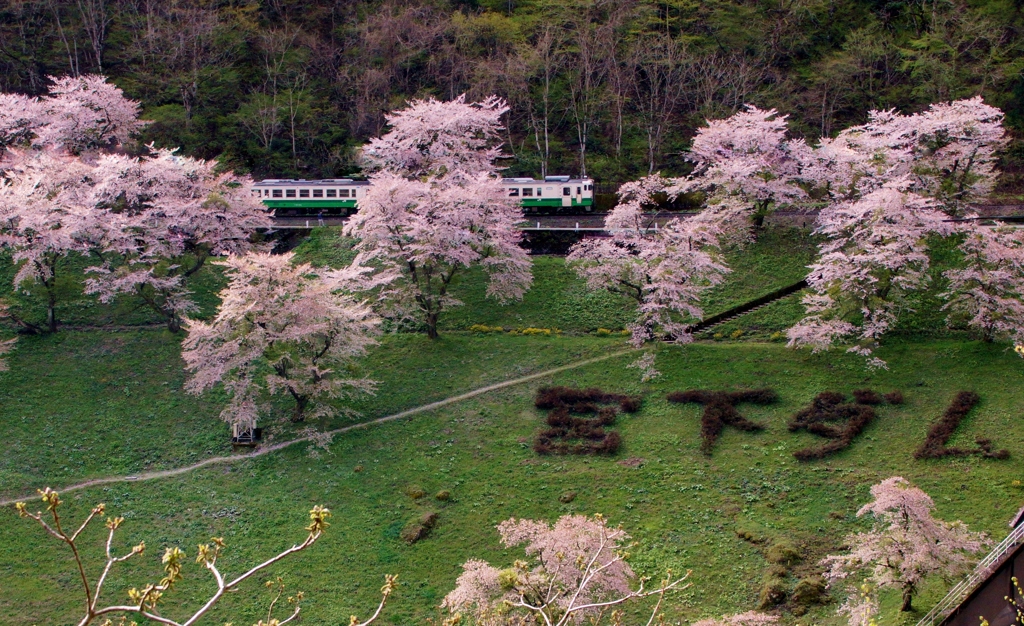 もう咲いているかなぁ？ここの桜？