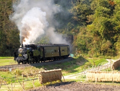 はさがけ風景＆Ｃ11牽引臨時列車
