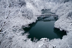 雪の花‼満開！