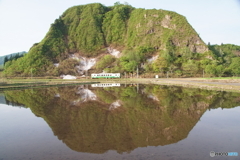 田んぼに映る水鏡！