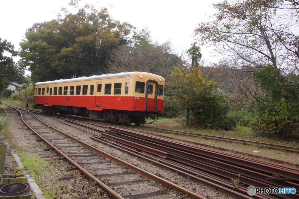 久しぶりの小湊鉄道！