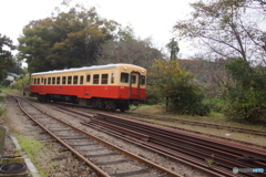 久しぶりの小湊鉄道！