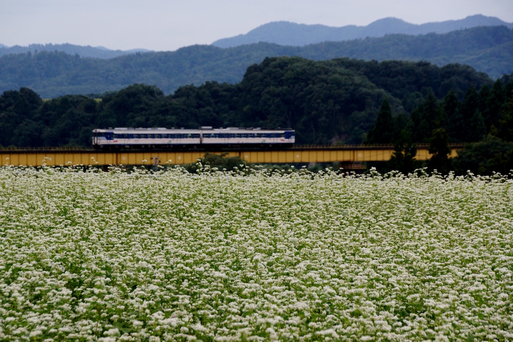 スッキリ画像の一戸橋梁！