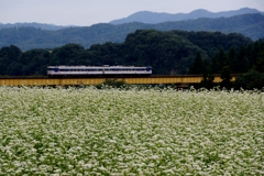 スッキリ画像の一戸橋梁！