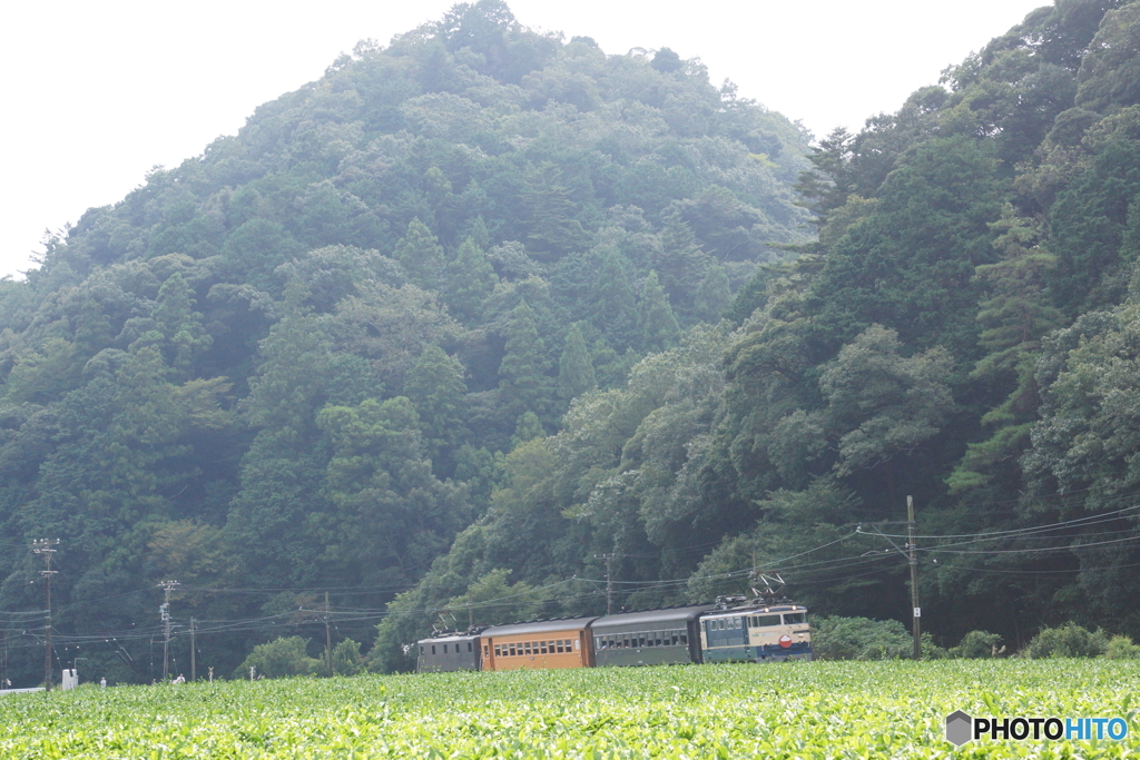 大井川鉄道のブルートレイン急行！