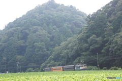 大井川鉄道のブルートレイン急行！