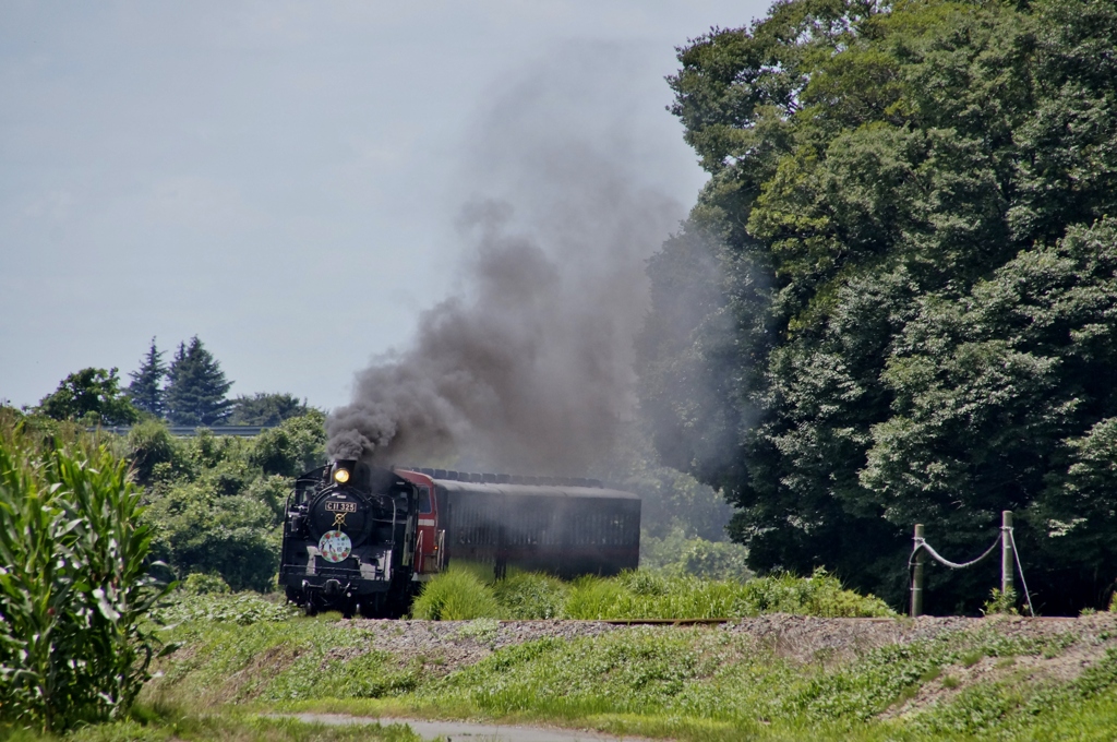 真岡のＳＬ・ＤＬ重連運転！