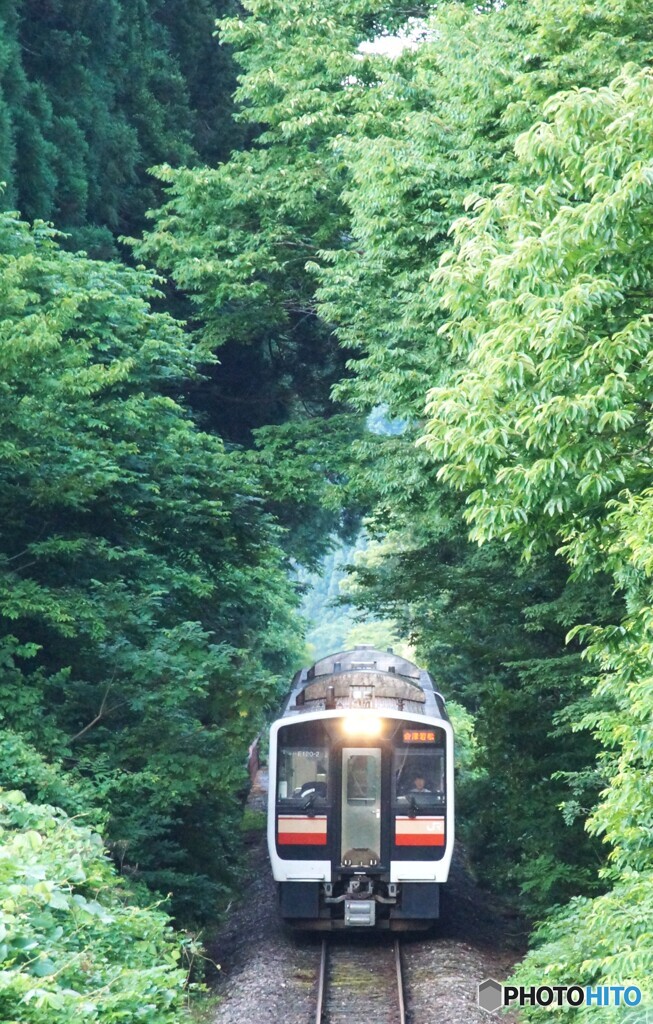 森の中から始発列車が…