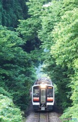 森の中から始発列車が…
