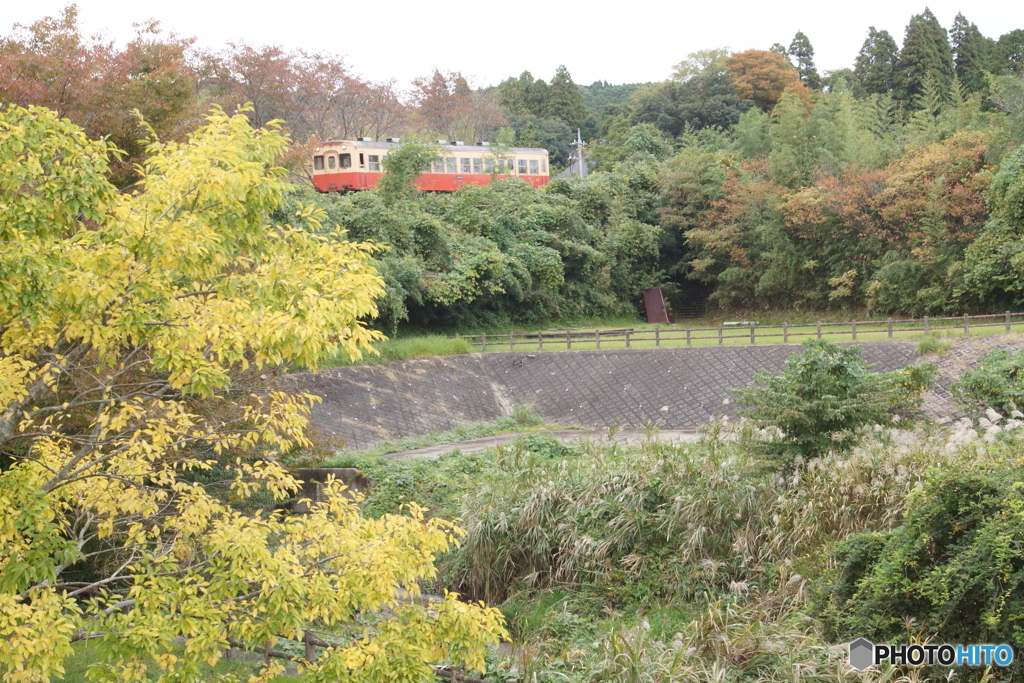 ちょっとした紅葉とキハ200！