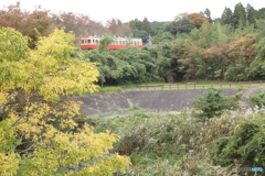 ちょっとした紅葉とキハ200！