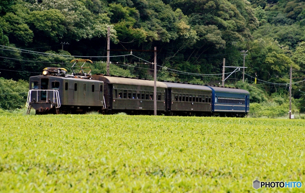 大井川鉄道超レアレトロ編成②