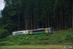 森林に吸い込まれるキハ！