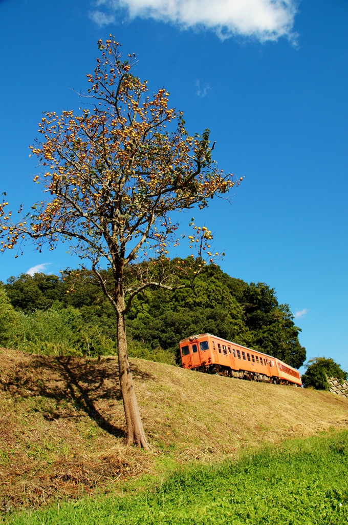 いすみ鉄道にも秋が・・・③