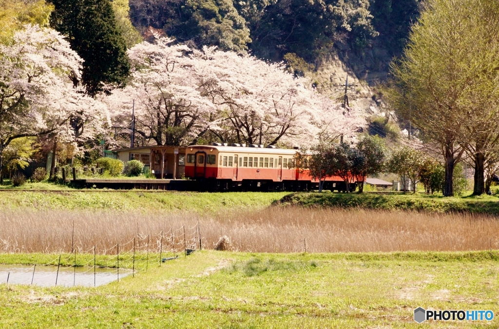 小湊鉄道　上総大久保