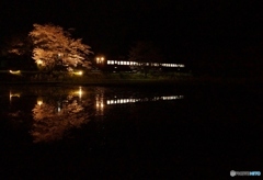 小湊鉄道　飯給駅　もう一つの夜桜撮影①