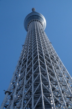 真下から見る東京スカイツリー！