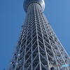 真下から見る東京スカイツリー！
