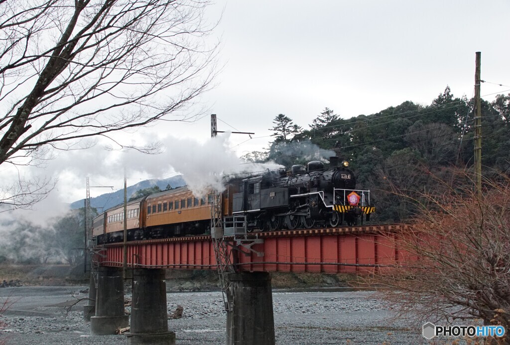 大井川鉄道　SL急行「かわね路」号！