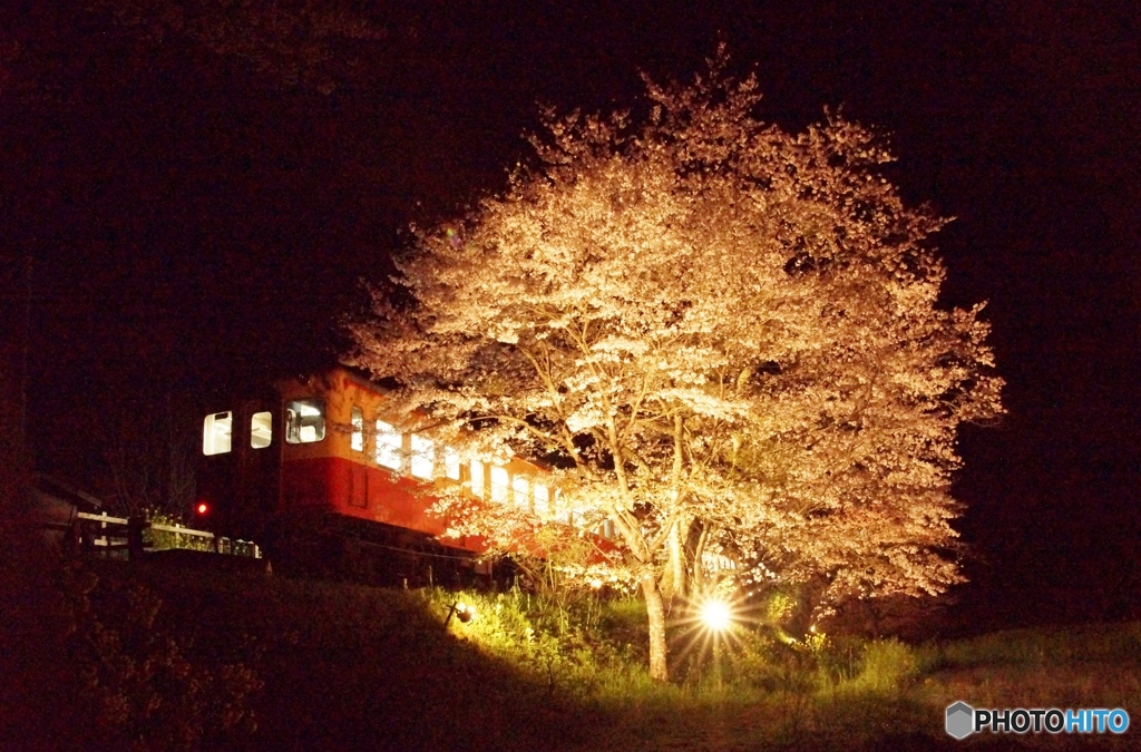 小湊鉄道　飯給の夜桜①～③の中の③（終）