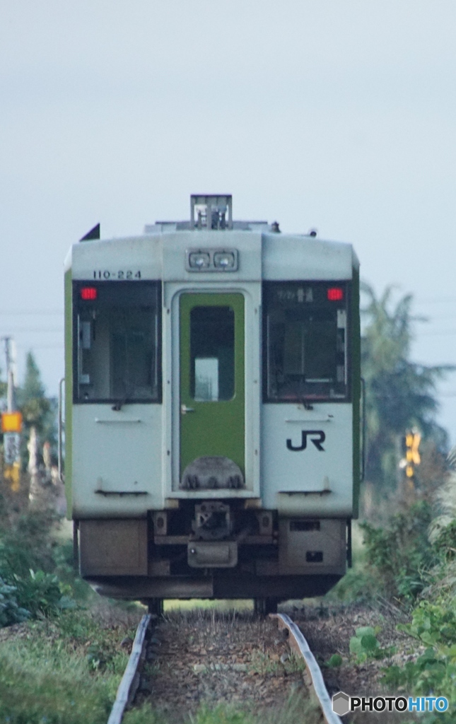 キハ110バックビュー！