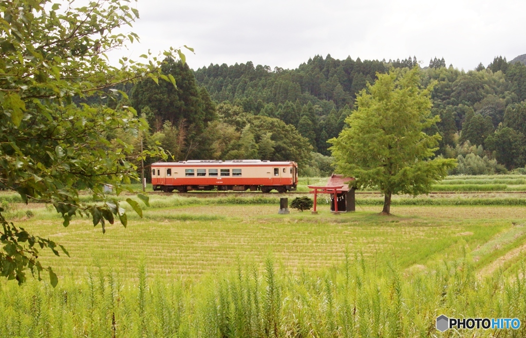 田園風景の中のキハ20！