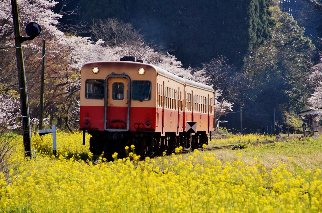 小湊鉄道「月崎駅」出発！