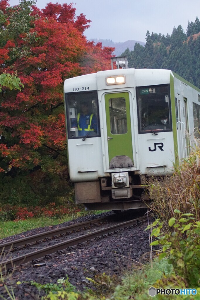 キハ110に紅葉！