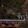 115系スカ色電車の想い出！③