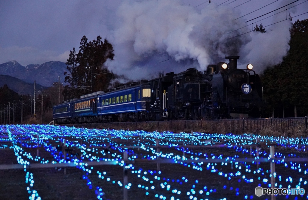 夕暮れのイルミネーション！