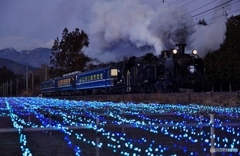 夕暮れのイルミネーション！