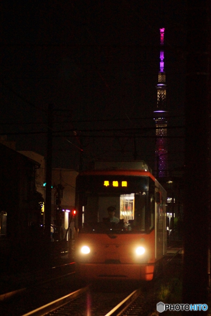 東京さくらトマム（都電荒川線）東京スカイツリーとの夜景③