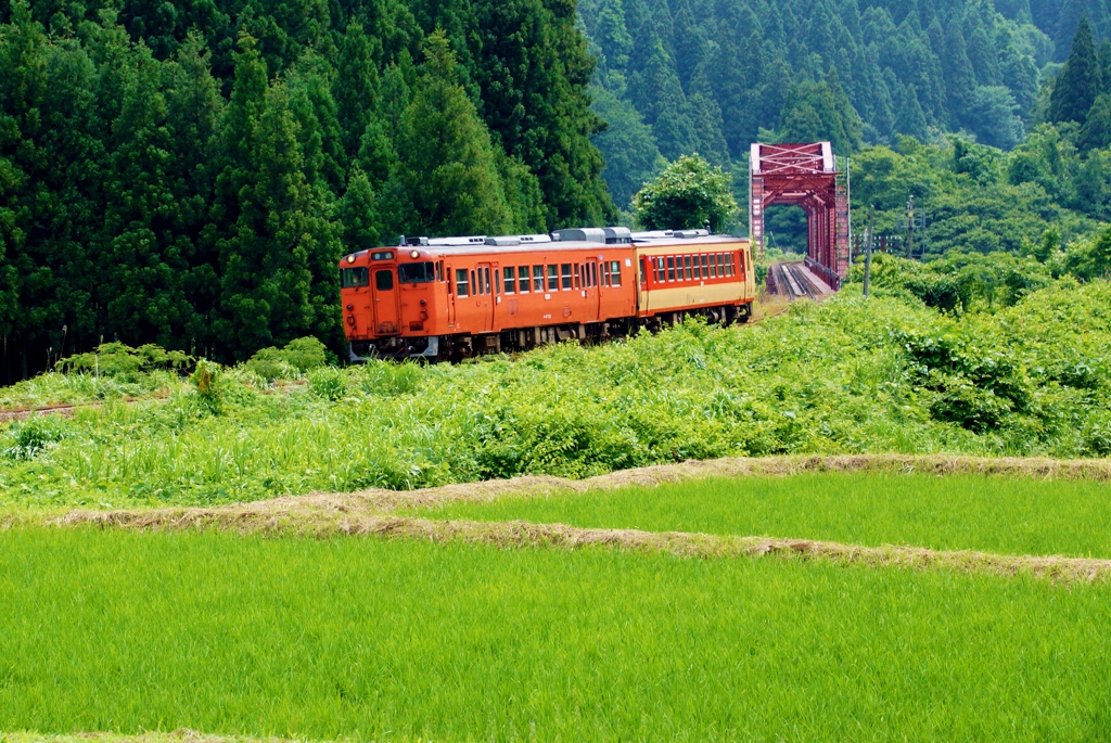 憧れの編成と遭遇！