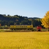 いすみ鉄道の「いつもの田園風景」！