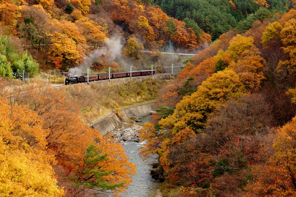 水上諏訪峡の紅葉！