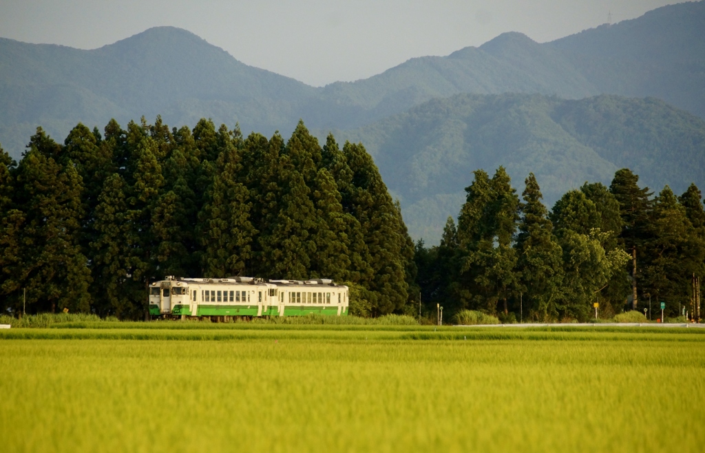 只見線桧目踏切の森！②