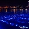 氷川丸の夜景！②