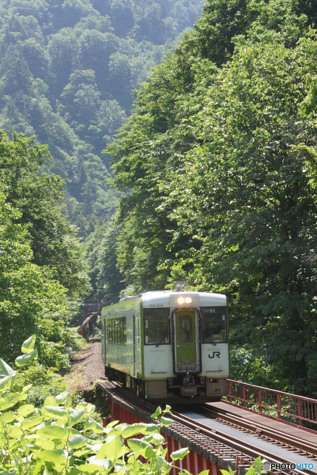 山間部を走るキハ110！