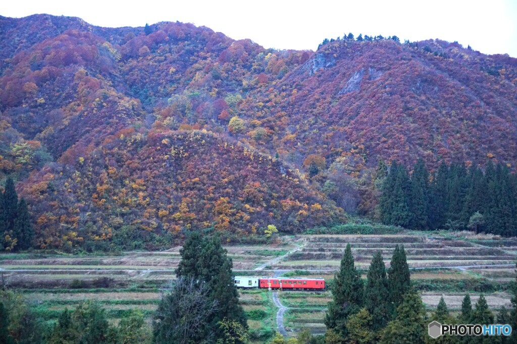 山間部錦絵の紅葉と只見線！
