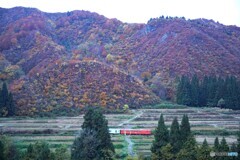 山間部錦絵の紅葉と只見線！