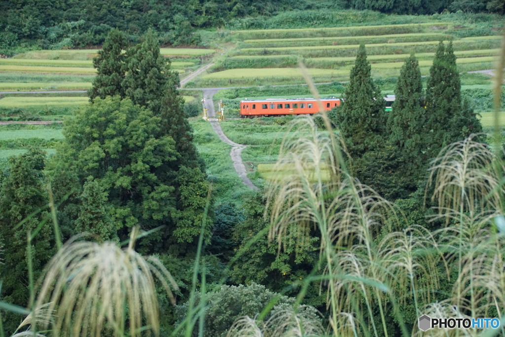 里山風景を往くタラコ色のキハ！