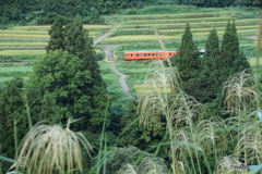 里山風景を往くタラコ色のキハ！