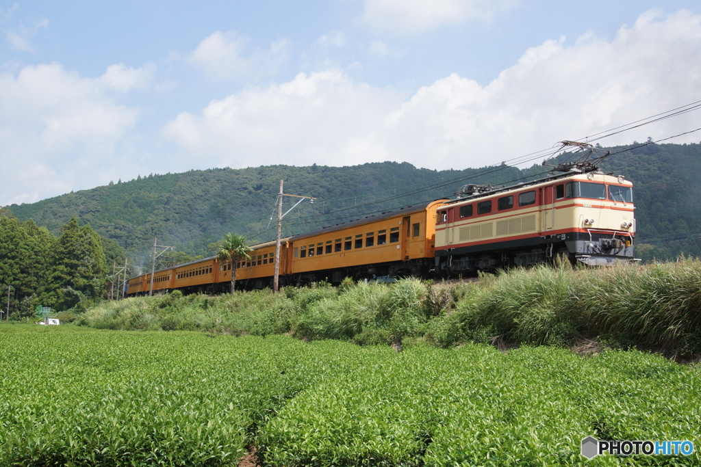 大井川鉄道トーマス号バックビュー！