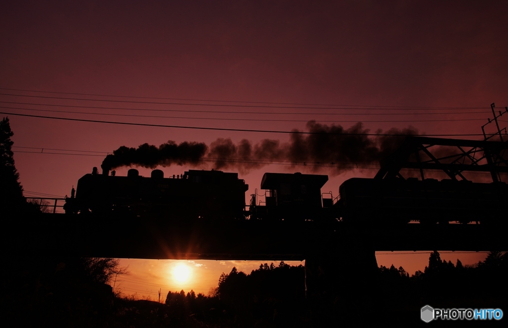 SL「大樹」夕暮れシルエット！